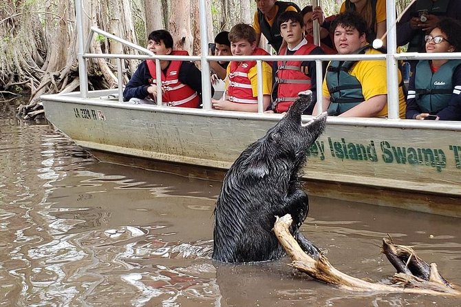 Honey Island Swamp Private Tour With Transport From New Orleans - Cajun Fishing Village