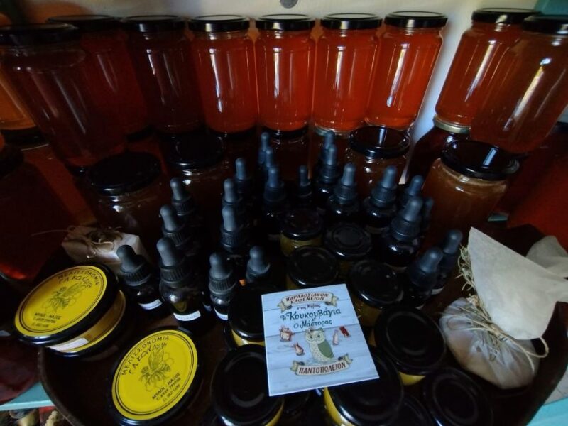 Honey Tasting on Naxos Island - Key Points
