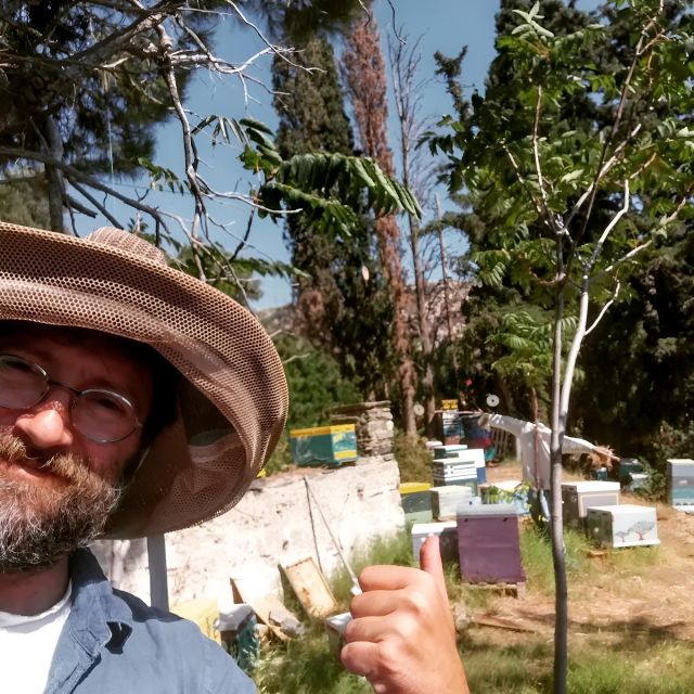 Honey Tasting on Naxos Island - Exploring Local Beehive Products
