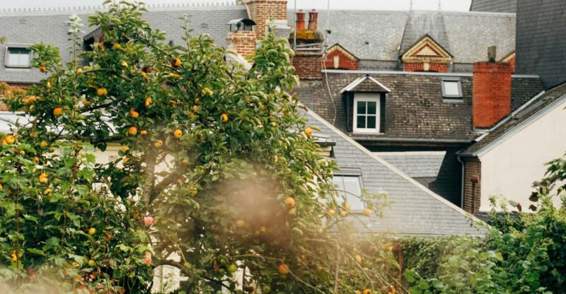 Honfleur: Private Guided Walking Tour With Local Guide - Key Points