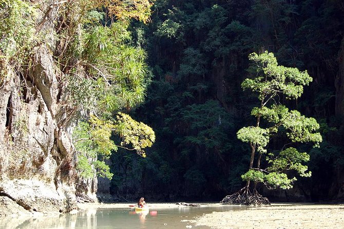Hong by Starlight John Grays Sea Canoe - Pricing and Cancellation