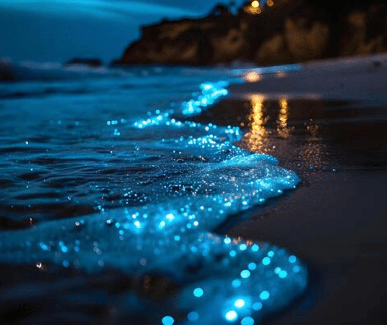 Hong Islands Sunset + Bioluminescent Plankton & BBQ Dinner - Dinner and Refreshments