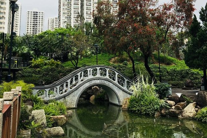 Hong Kong 4-Hour Heritage Bike Tour - Culture & Food - Recommended Traveler Conditions