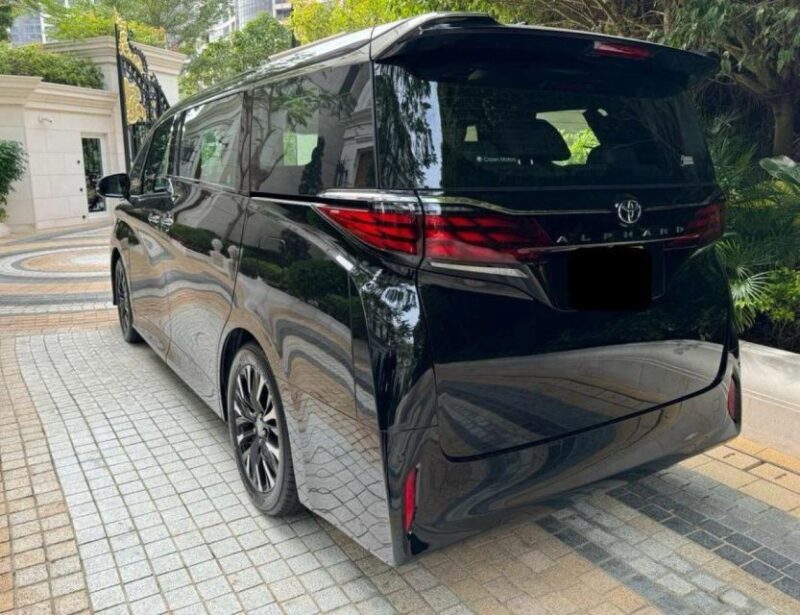 Hong Kong Airport Limousine Tranfer Service - Pickup Experience