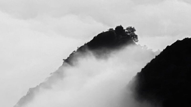 Hong Kong: Day/Night Trip With Ming - Inclusions and Fees