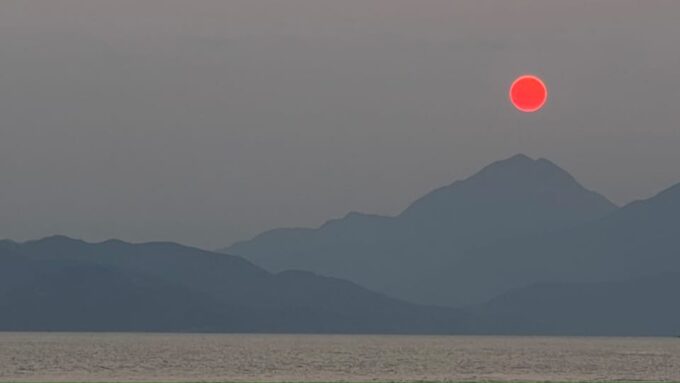 Hong Kong: Day/Night Trip With Ming - Booking and Confirmation