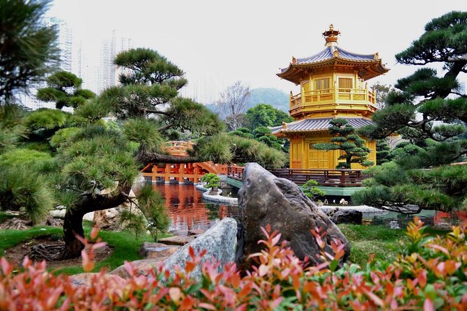 Hong Kong Discovery [8 Hours With Car] - Customer Experience