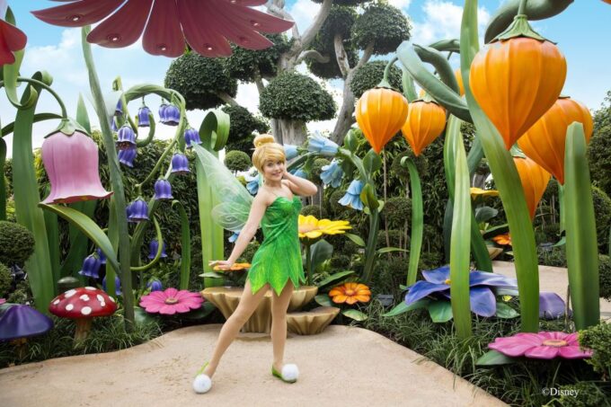 Hong Kong Disneyland Park Tickets - Frequently Asked Questions