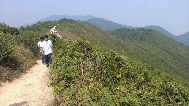 Hong Kong: Dragon's Back Hike - What Reviews Say