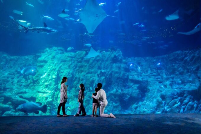 Hong Kong: Go City Explorer Pass - Choose 4 to 7 Attractions - Pass Features and Benefits