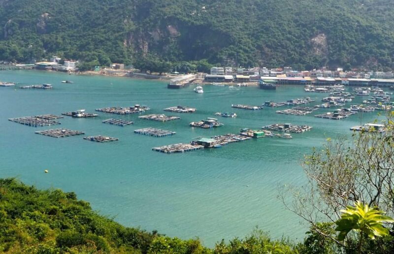 Hong Kong: Lamma Island Walking Tour With Lunch - Important Information