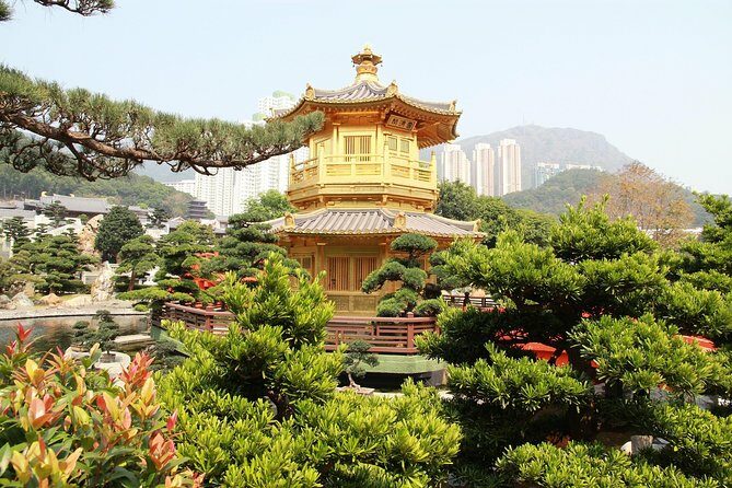 Hong Kong Layover Tour Private & Personalized with Local Guide - Final Thoughts