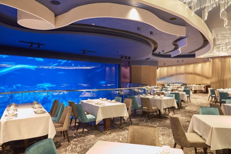 Hong Kong: Ocean Park Entry Ticket + Fine Dining @ Aquarium - Dining Experience at Neptunes Restaurant