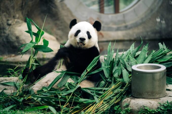Hong Kong: Ocean Park Entry Ticket + Fine Dining @ Aquarium - Frequently Asked Questions