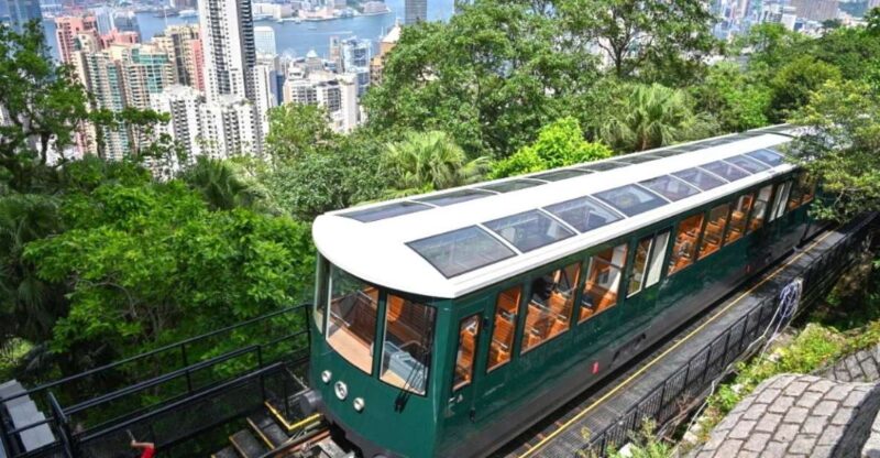 Hong Kong: Peak Tram Ride, Dim Sum Tasting & City Highlights - Key Points