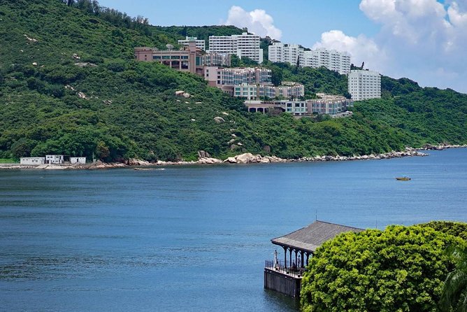 Hong Kong Private Full-Day City Tour - Antique Shopping at Cat Street