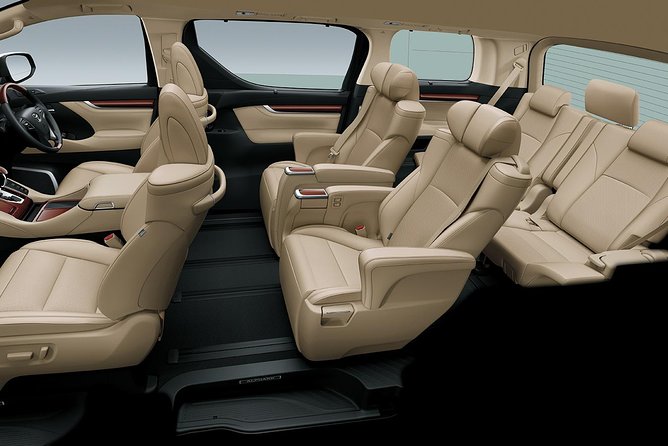 Hong Kong Private Transfer: Hotel to Hong Kong Disneyland - Participation Guidelines