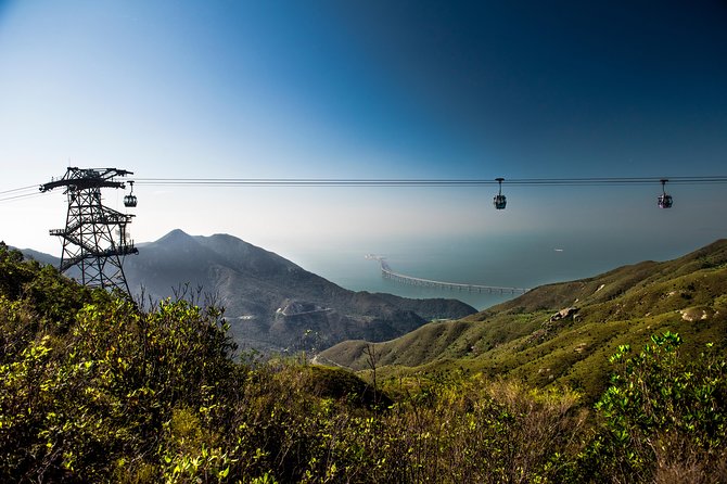 Hong Kong Travel Pass Combo: MTR Pass, Ngong Ping Cable Car and Big Buddha Tour - Customer Feedback and Experiences