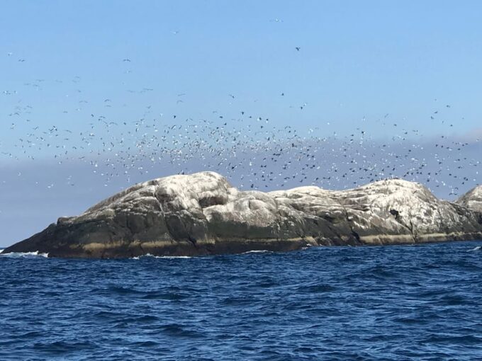 Honningsvåg: North Cape King Crab & Arctic Wildlife Safari - Local History and Culture