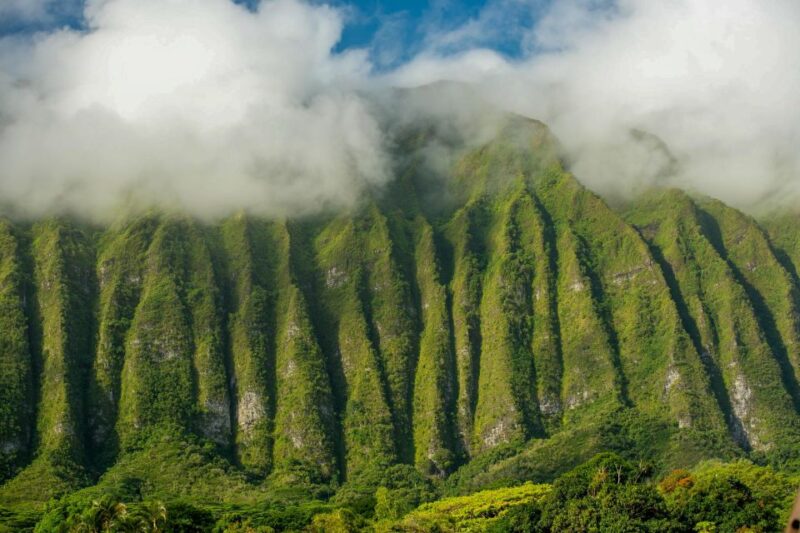 Honolulu: 3 Hour Sunrise Photos Tour With Malasadas - Experience and Reviews