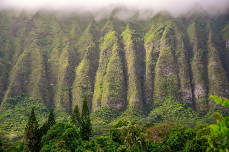 Honolulu: 3 Hour Sunrise Photos Tour With Malasadas - Pickup Locations