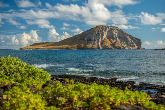 Honolulu: 3 Hour Sunrise Photos Tour With Malasadas - Cancellation and Payment Options