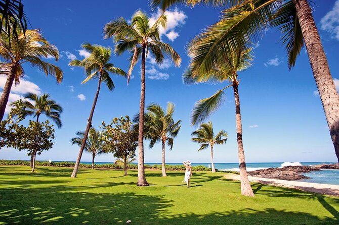 Honolulu Airport & Ko Olina Hotels Private Transfer by Passenger Van(14 Ppl) - Key Points
