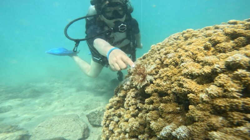 Honolulu: Beginner Scuba Diving Tour With Free Videos - Booking Information