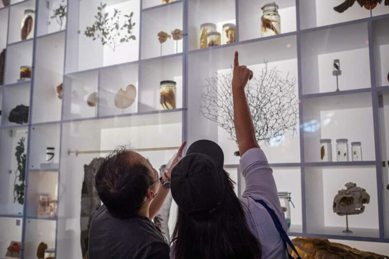Honolulu: Bishop Museum General Admission Ticket - The Sum Up: A Worthwhile Cultural Stop