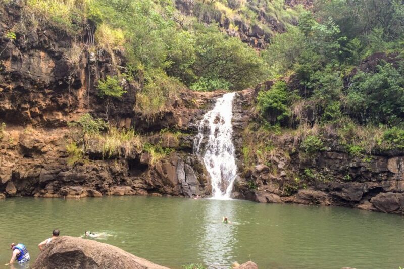 Honolulu: Oahu Island Full-Day Guided Tour by Bus With Lunch - Participant Information