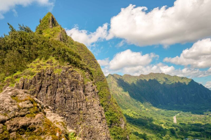 Honolulu: Oahu Island Full-Day Guided Tour by Bus With Lunch - Customer Reviews
