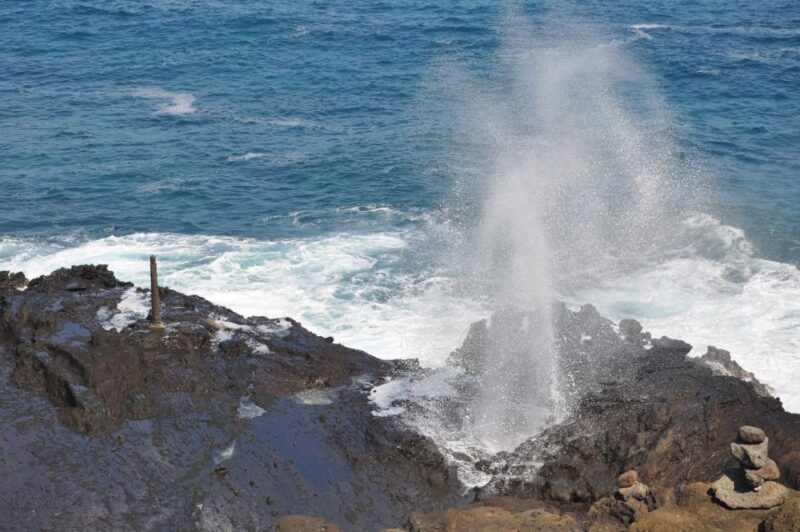 Honolulu: Oahu Island Highlights Tour With Multiple Stops - Customer Reviews and Ratings