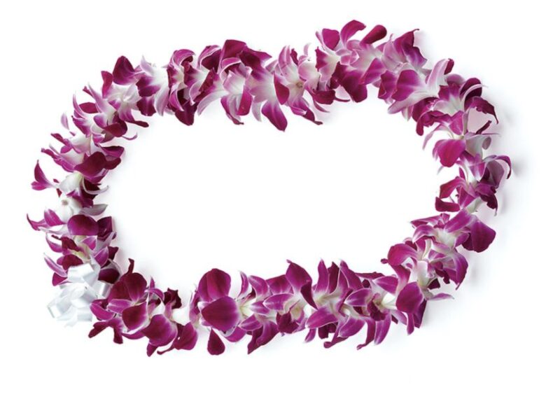 Honolulu: Private Airport Transfer With Arrival Lei Greeting - Key Points
