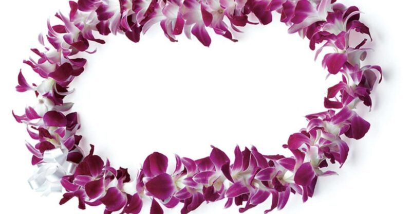 Honolulu: Private Airport Transfer With Arrival Lei Greeting - Arrival Experience