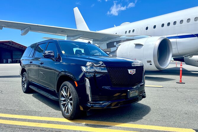 Honolulu Private Transfer to Airport/Port/Hotel (1-12 Passenger) - Key Points