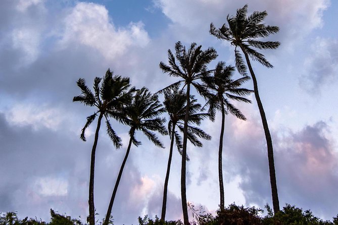 Honolulu Sea-Cliff With Sunset Photo Adventure - Booking Information and Policies