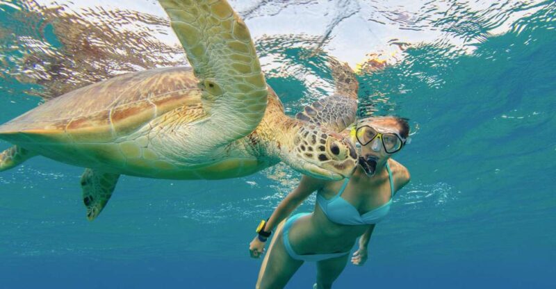 Honolulu: Snorkel With Turtles, Water Scooter, Paddleboard - Food and Refreshments