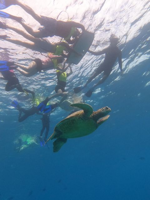 Honolulu: Snorkel With Turtles, Water Scooter, Paddleboard - Additional Options
