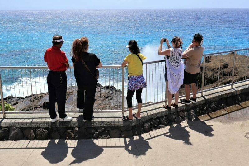 Honolulu: Stunning Views of Oahu! Half-day Scenic Tour - Final Thoughts