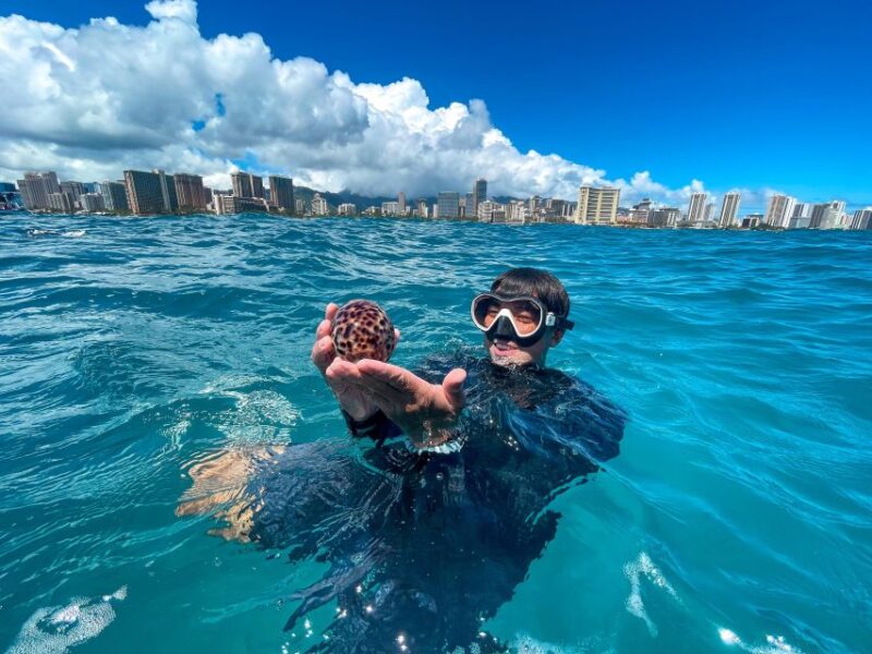 Honolulu: Turtle Canyon Snorkeling Semi-Private Boat Tour - Marine Life Encounter