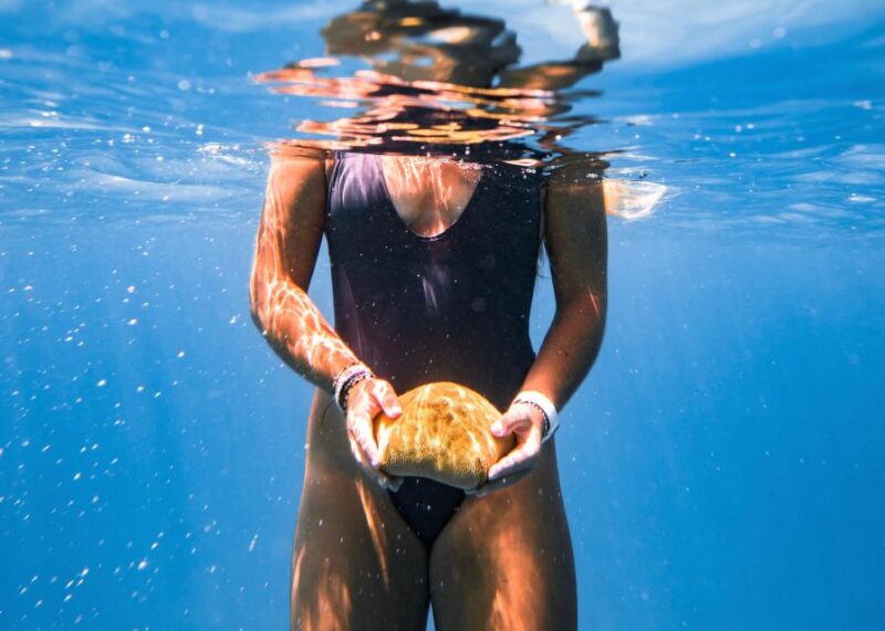 Honolulu: Turtle Canyon Snorkeling Semi-Private Boat Tour - Health Considerations