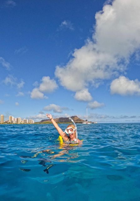 Honolulu: Turtle Canyon Snorkeling Semi-Private Boat Tour - Frequently Asked Questions