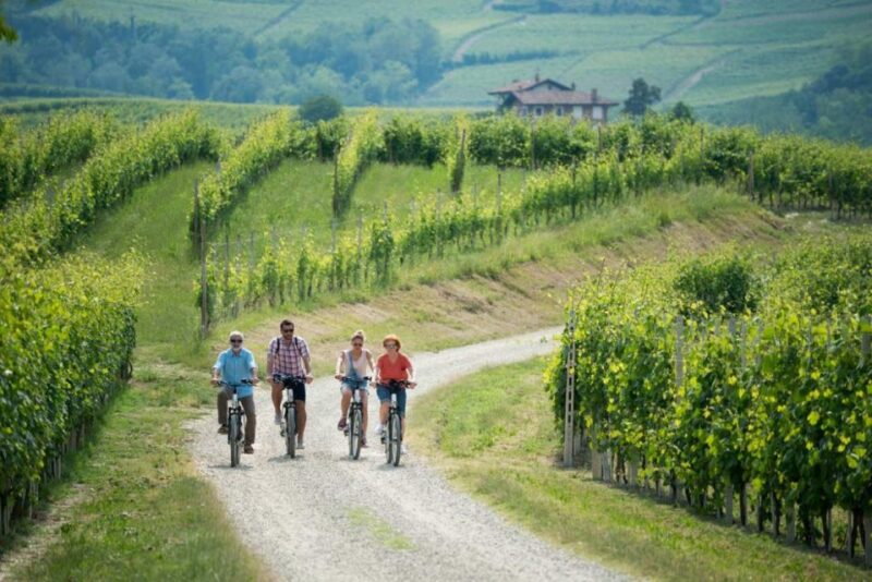 Hood River: All-Day E-Bike Rental - Experience Highlights