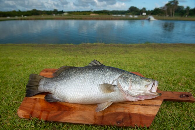 Hook-A-Barra Fishing and Farm Activity - What to Expect