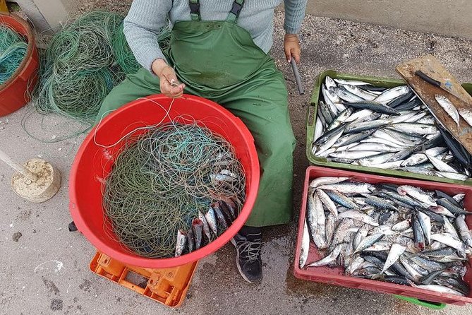 Hooked on Sesimbra - Immersion in the Fish Auction