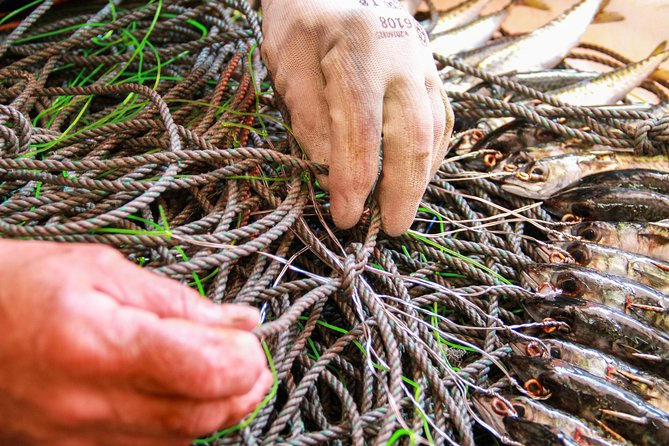 Hooked on Sesimbra - Unraveling Sesimbras Fishing Industry
