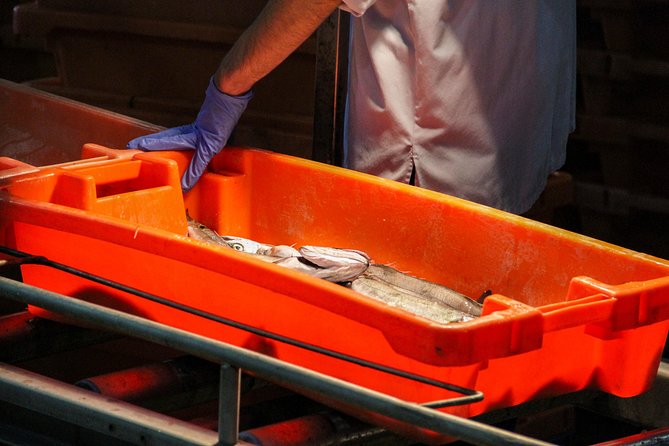 Hooked on Sesimbra - Insiders Perspective on Seafood Processing