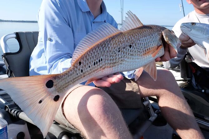 Hooked on the Bayou: New Orleans Kayak Fishing Trips - Pedal Drive Kayak Experience