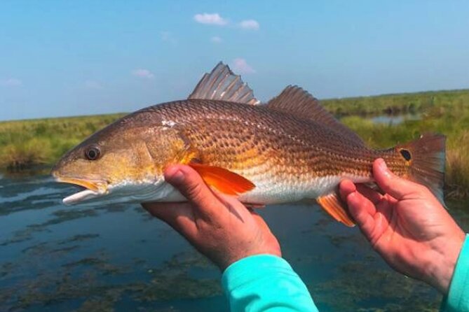 Hooked on the Bayou: New Orleans Kayak Fishing Trips - Beverages and Refreshments