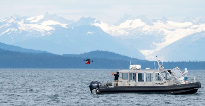 Hoonah: Icy Strait Whale Watch With Drone Filmography - Customer Reviews and Ratings